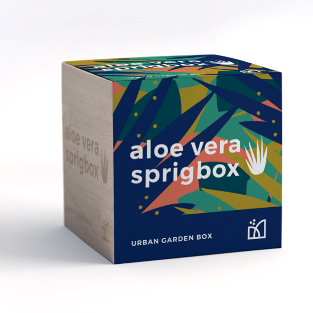 Sprig Box Grow Kit - Aloe Vera