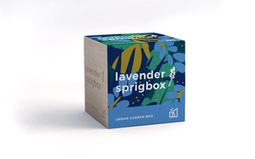Sprig Box Grow Kit- Lavender
